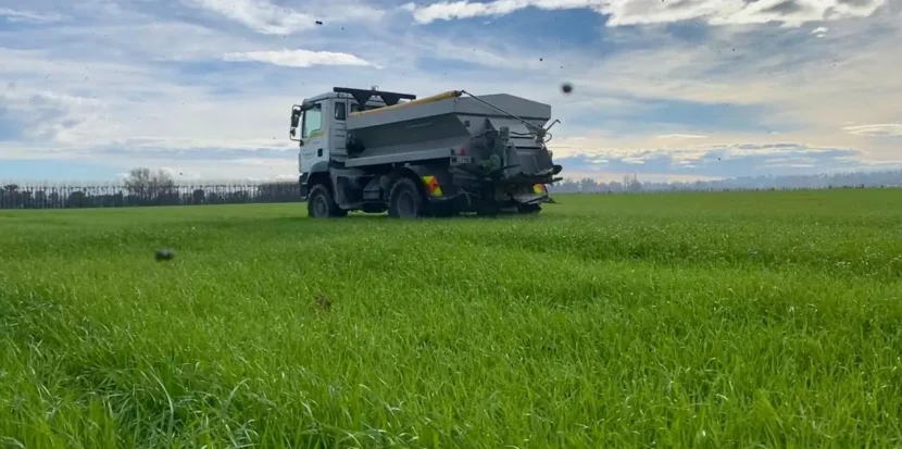 Phosphate Rock for Maximum Fertilizer Efficiency