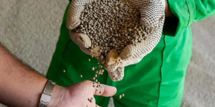 Granular Rock Phosphate