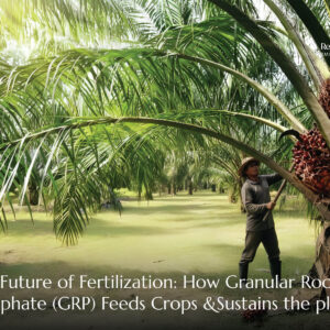 The Future of Fertilization: How Granular Rock Phosphate (GRP) Feeds Crops and Sustains the planet