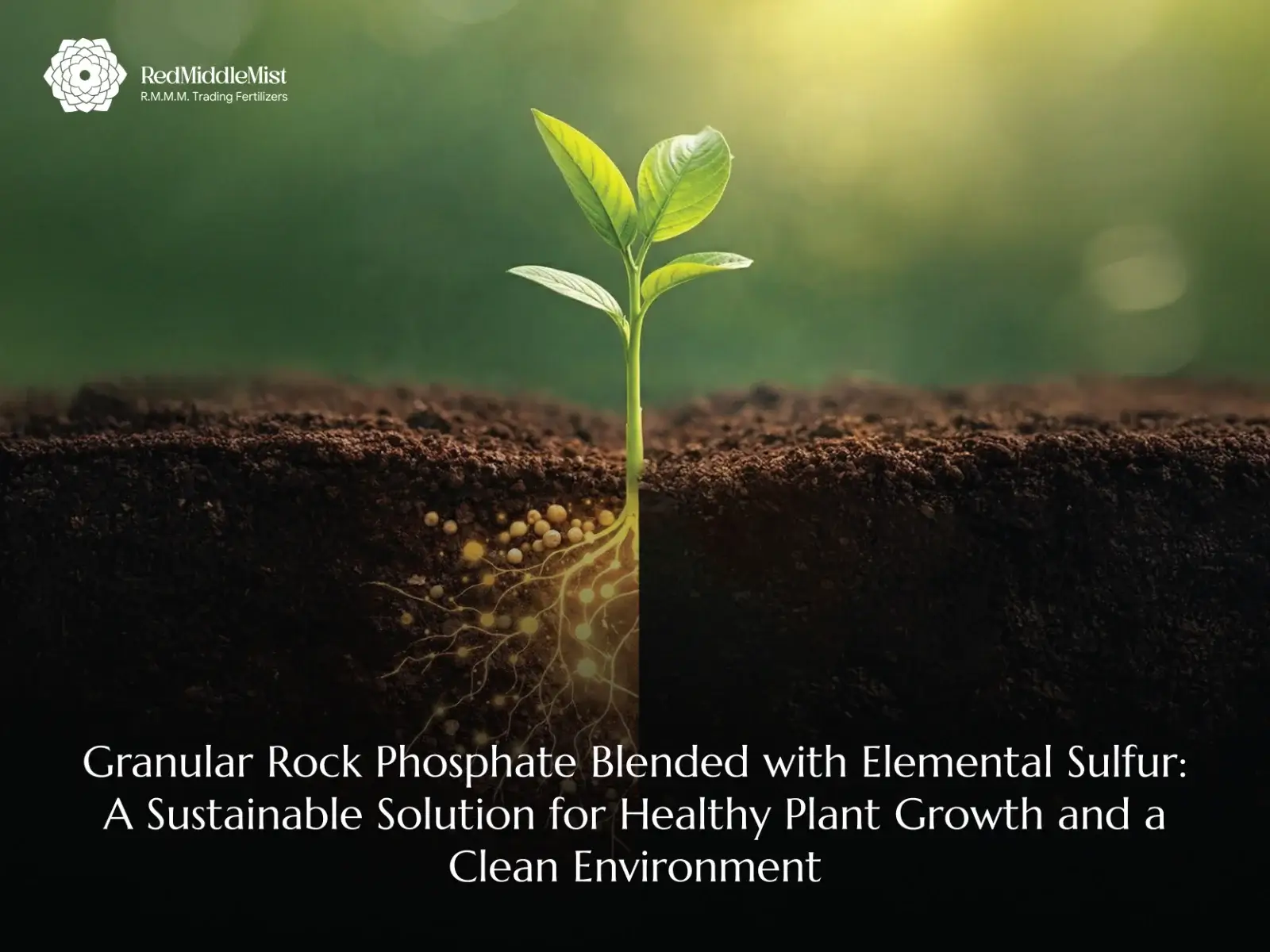 Granular Rock Phosphate Blended with Elemental Sulfur
