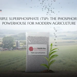 Triple Superphosphate (TSP)